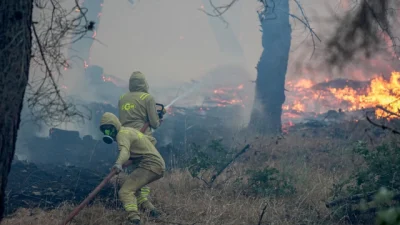 Balıkesir’in Gömeç ilçesinde başlayarak Ayvalık’a kadar yayılan orman yangınıyla ilgili