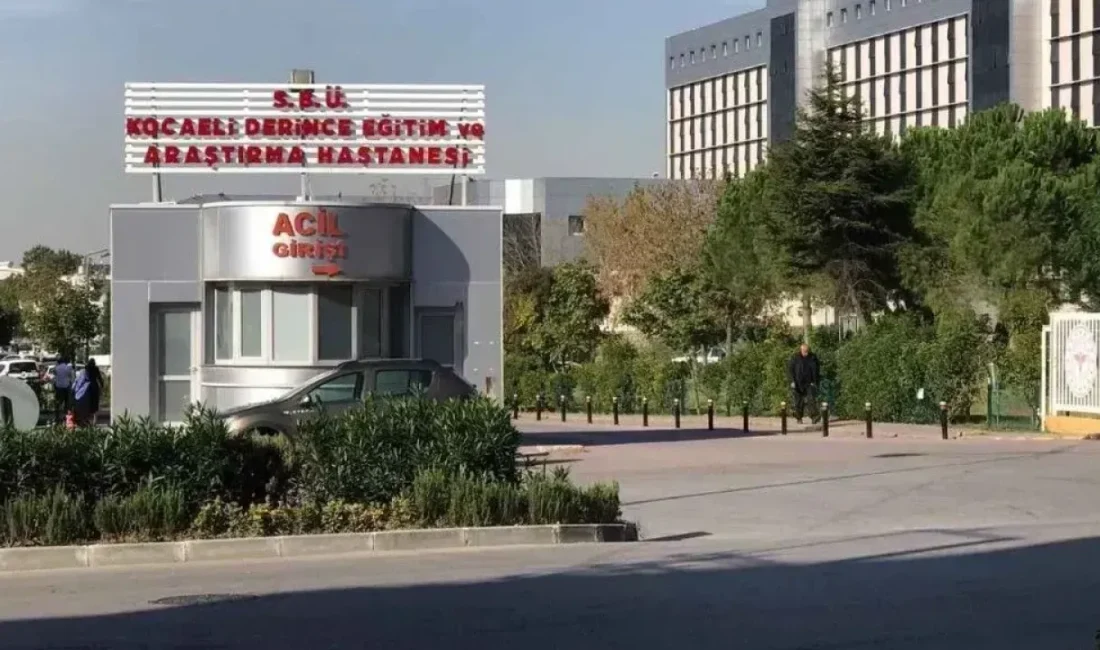 Kocaeli İl Sağlık Müdürlüğü Derince Eğitim ve Araştırma Hastanesi, ihtiyaç