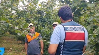 Kocaeli İl Jandarma Komutanlığı, Kandıra’daki fındık tarlalarında hırsızlık olaylarının önüne