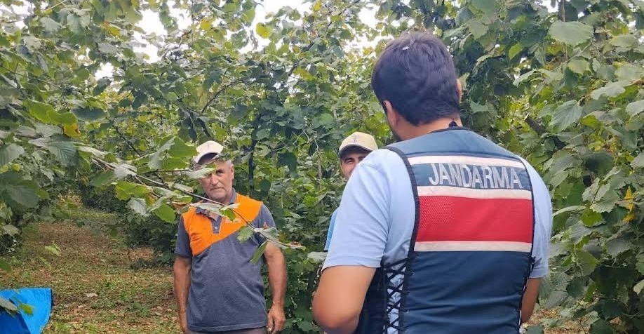 Kocaeli İl Jandarma Komutanlığı, Kandıra’daki fındık tarlalarında hırsızlık olaylarının önüne
