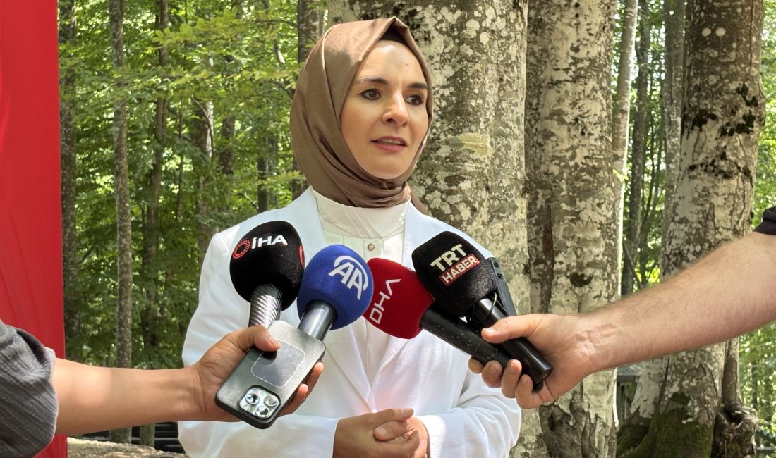 Aile ve Sosyal Hizmetler Bakanı Mahinur Özdemir Göktaş, şehit yakınları