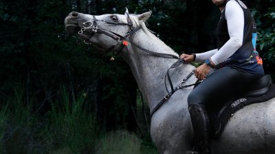 Oğuz Alper Öktem, 18-20 Eylül 2026 tarihlerinde Romanya’da düzenlenecek Balkan