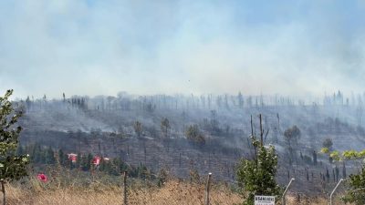 Kocaeli'nin Gebze ilçesinde ormanlık alanda yangın başladı. İhbar üzerine bölgeye