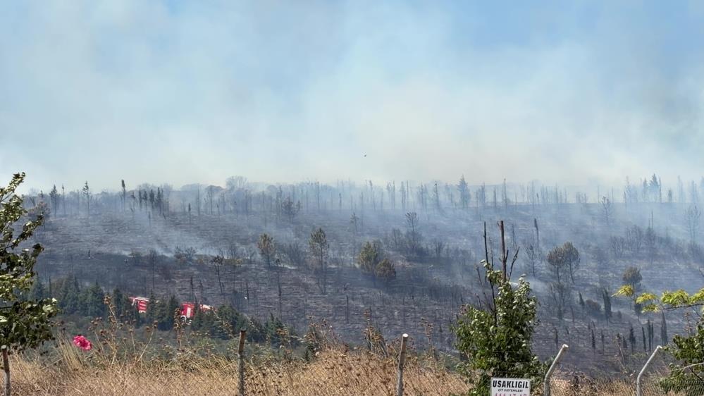 Kocaeli'nin Gebze ilçesinde ormanlık alanda yangın başladı. İhbar üzerine bölgeye