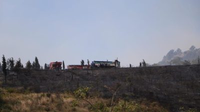 Kocaeli'nin Gebze ilçesinde ormanlık alanda çıkan yangın havadan ve karadan