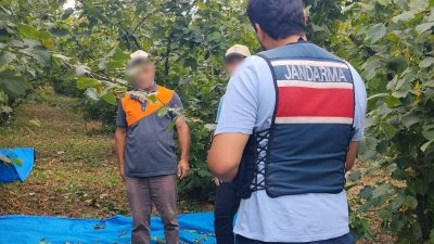 Kocaeli İl Jandarma Komutanlığı ekipleri, fındık hasadı döneminde üreticilerin ürünlerini