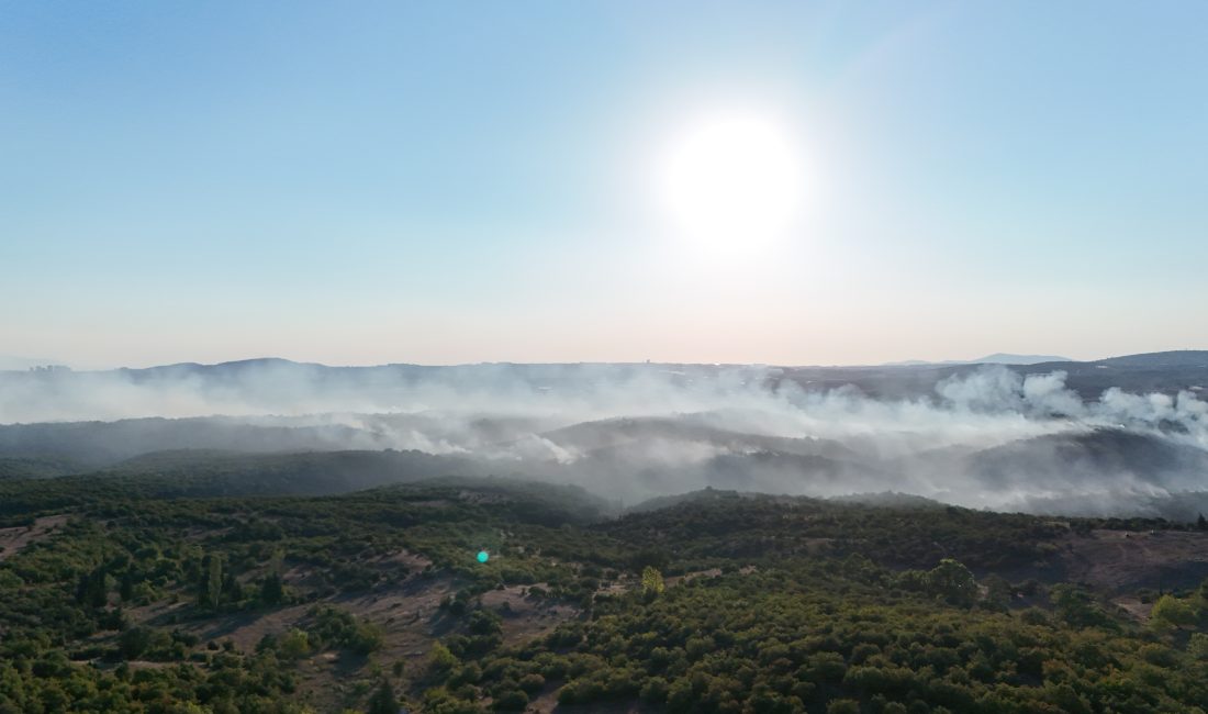 Kocaeli’nin Gebze ilçesinde kırsal alanda başlayan ve ormanlık bölgeye sıçrayan