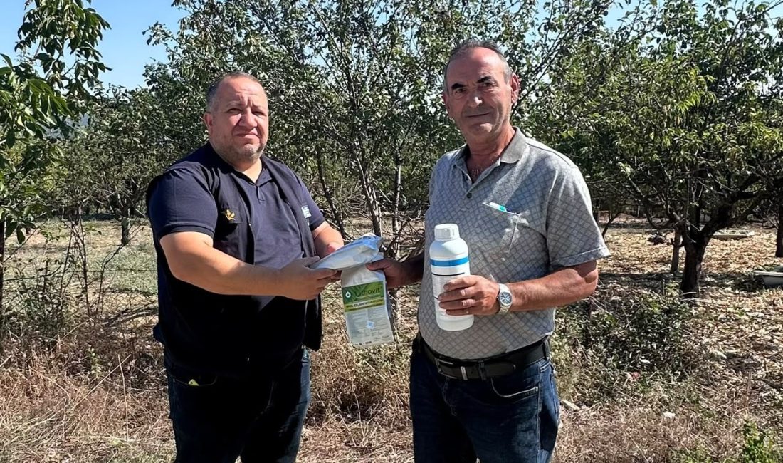 Kocaeli Büyükşehir Belediyesi, İzmit’te meydana gelen dolu yağışında meyve bahçeleri
