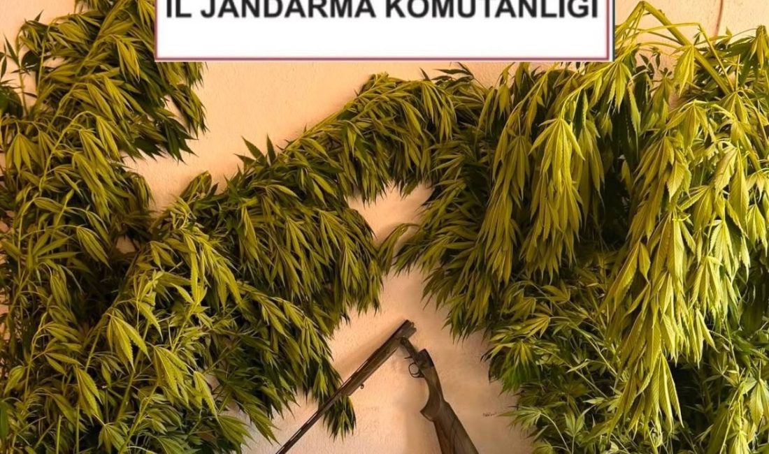 Kocaeli İl Jandarma Komutanlığı ekipleri, uyuşturucu ve uyarıcı madde suçlarıyla