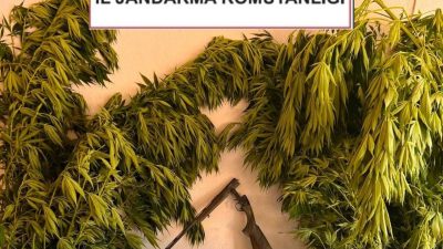 Kocaeli İl Jandarma Komutanlığı ekipleri, uyuşturucu ve uyarıcı madde suçlarıyla