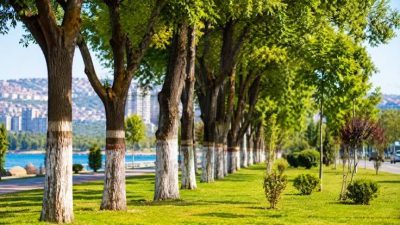 Kocaeli İl Tarım ve Orman Müdürlüğü, İzmit ve Kartepe ilçelerinde
