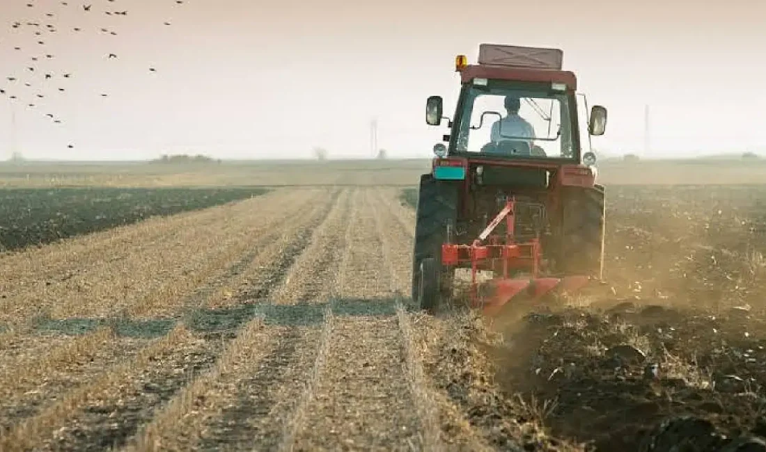 Tarımsal girdi fiyat endeksi (Tarım-GFE) yıllık yüzde 32,06 arttı, aylık