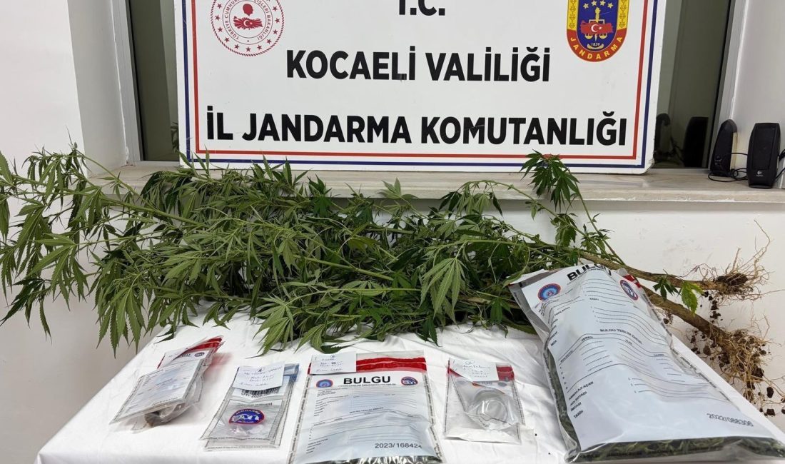 Kocaeli’nin İzmit ilçesinde jandarma ekiplerince düzenlenen uyuşturucu operasyonunda 1 kilo