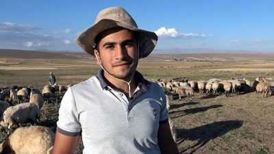 Van’ın Erciş ilçesinde ailesine destek olmak için çobanlık yapan Muhammet
